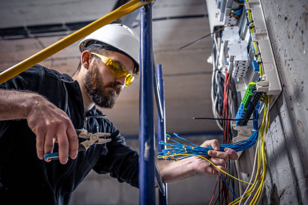 Best Electric Panel Repair  in Hartington, NE