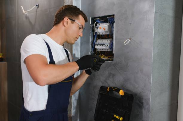 Best Local Electrician Companies  in Hartington, NE